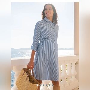 Seraphine Maternity & Nursing Stripe Shirt Dress